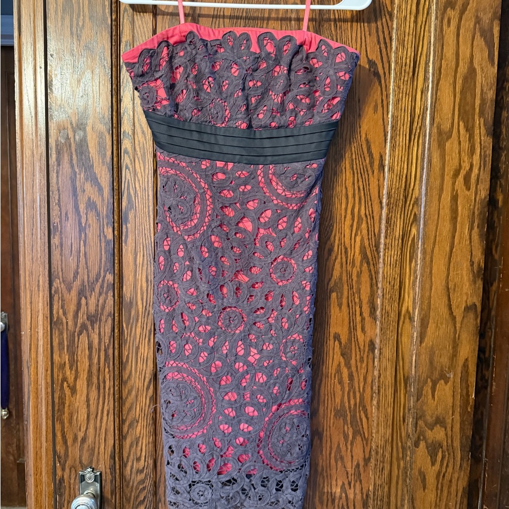Anthropologie Strapless Dress in Pink and Black Lace